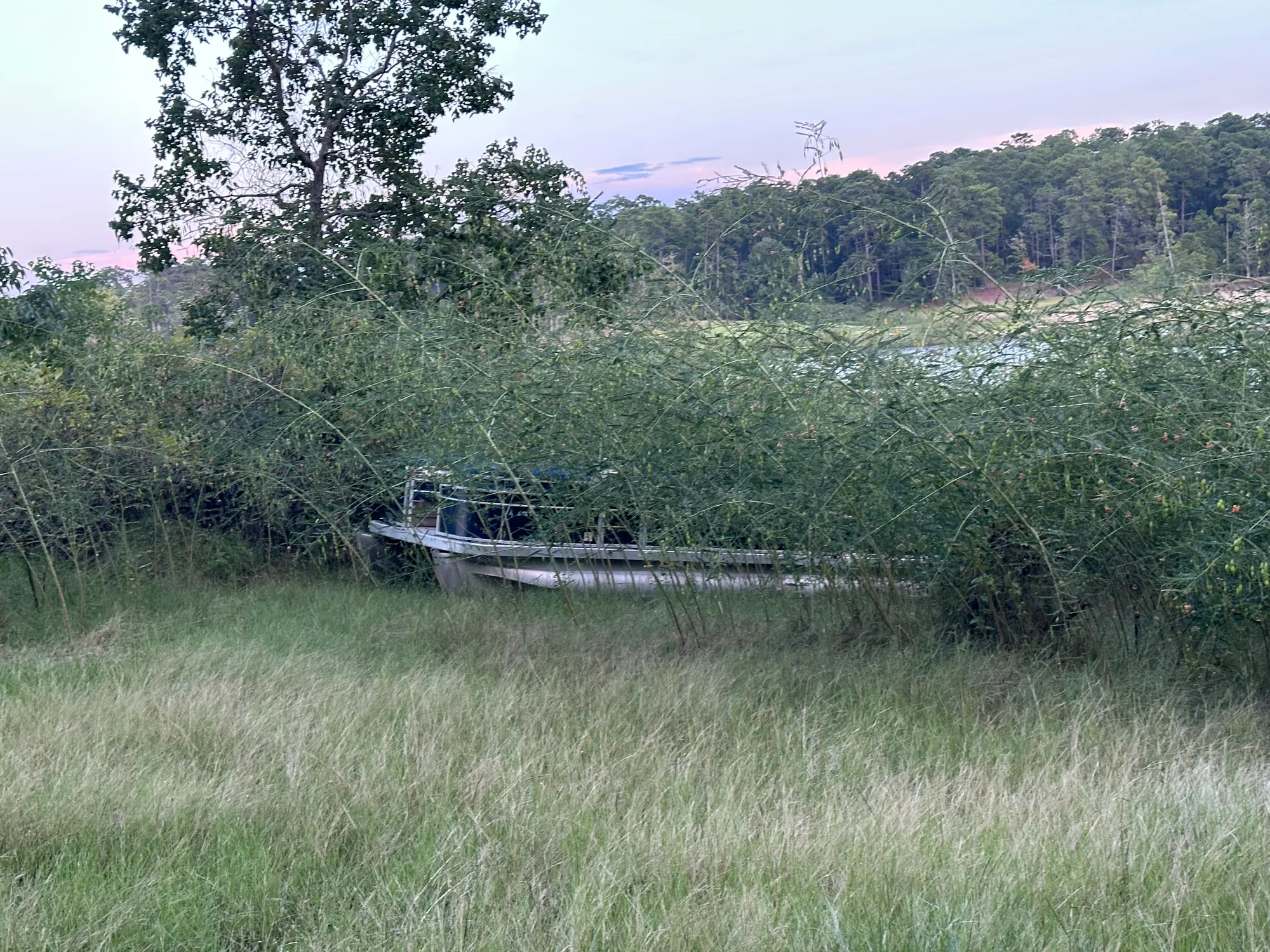 A boat resting in tall shoreline grass at dusk, well back from the water's edge.