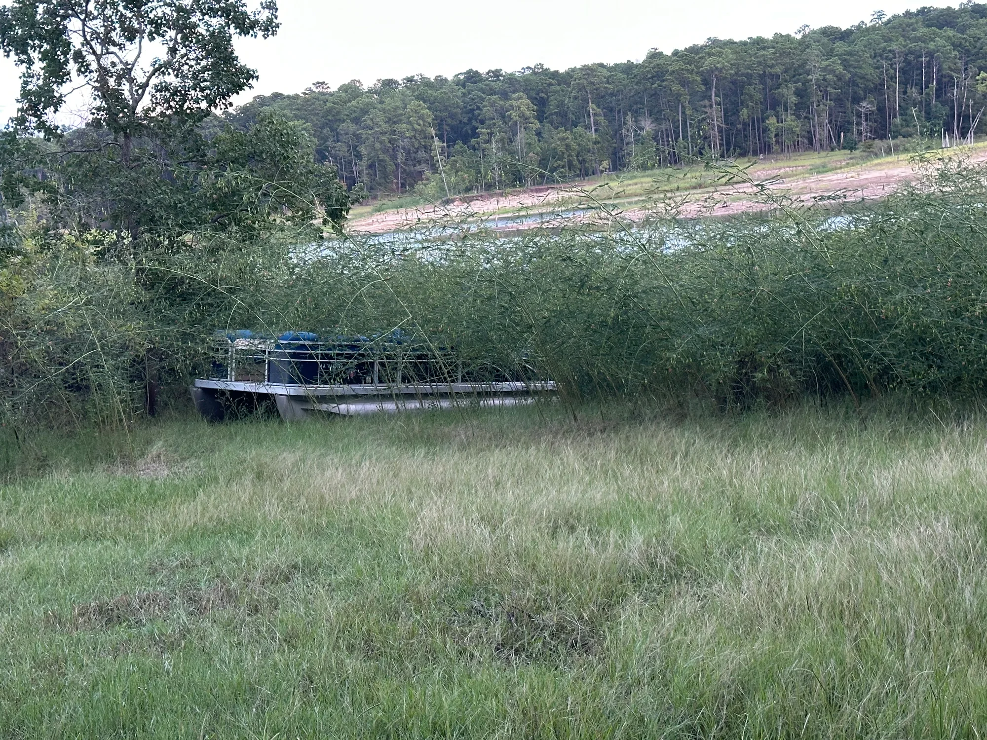 A boat sitting in tall grass along the shoreline, with the lake's exposed banks visible behind it.